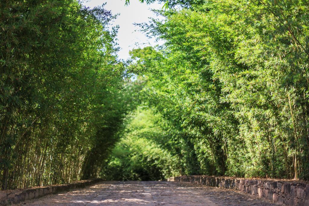 Pousada Bosque Do Lapao Lencois Exterior photo